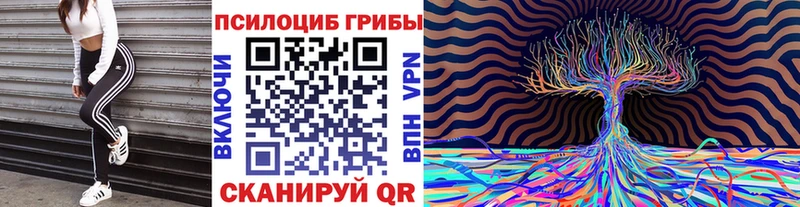 Псилоцибиновые грибы мицелий  Вятские Поляны 