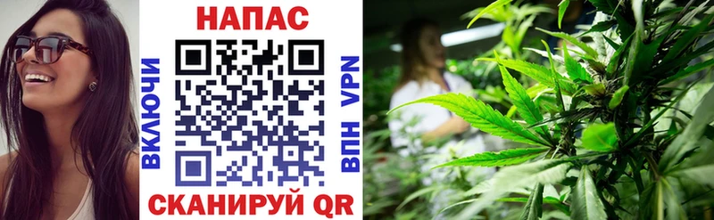 Канабис план  hydra ССЫЛКА  мориарти состав  Вятские Поляны 